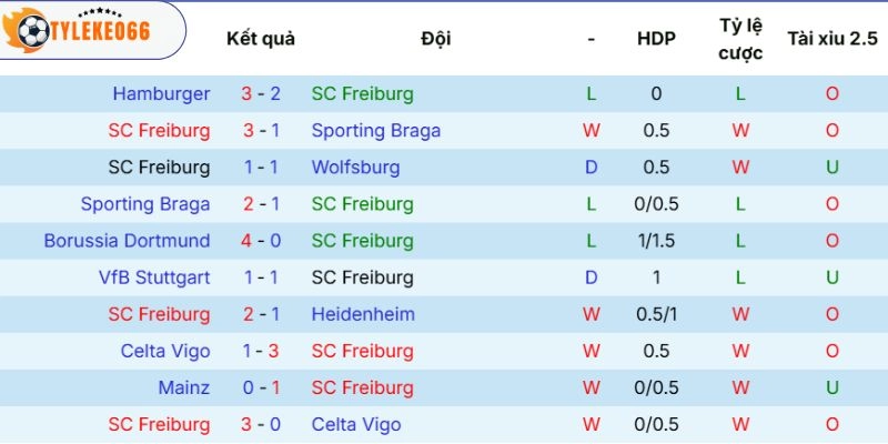 Ấn tượng thi đấu của Freiburg