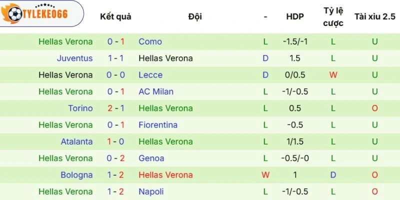 Thành tích thi đấu của Hellas Verona